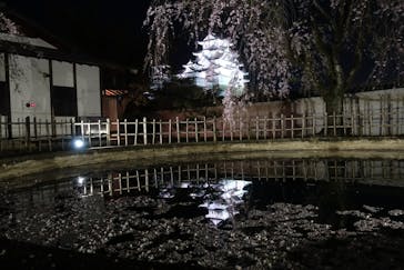 姫路城（イベント）に投稿された画像（2021/4/5）