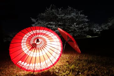 姫路城（イベント）に投稿された画像（2021/4/5）