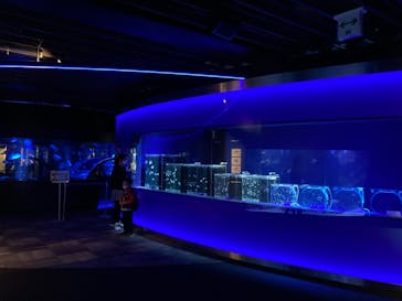 京都水族館に投稿された画像（2021/4/5）