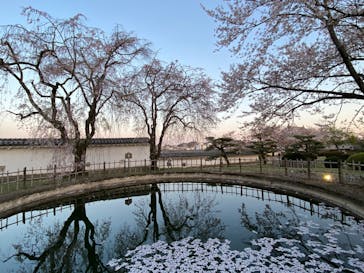 姫路城（イベント）に投稿された画像（2021/4/5）