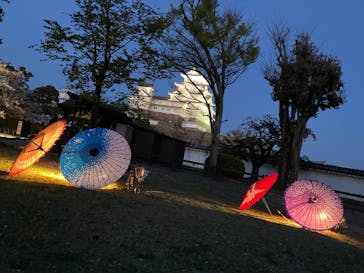 姫路城（イベント）に投稿された画像（2021/4/5）