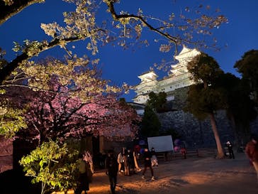 姫路城（イベント）に投稿された画像（2021/4/5）