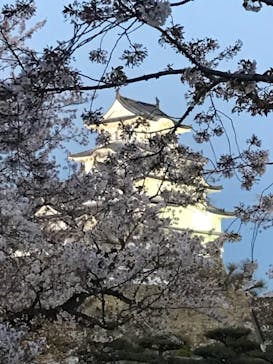 姫路城（イベント）に投稿された画像（2021/4/5）