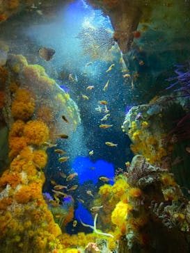 サンシャイン水族館に投稿された画像（2021/4/5）