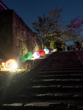 姫路城（イベント）に投稿された画像（2021/4/5）