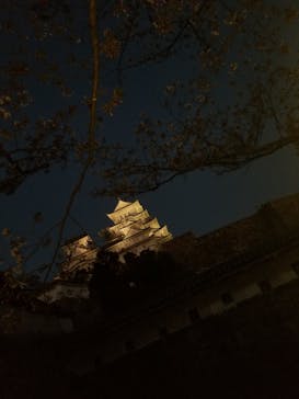 姫路城（イベント）に投稿された画像（2021/4/5）