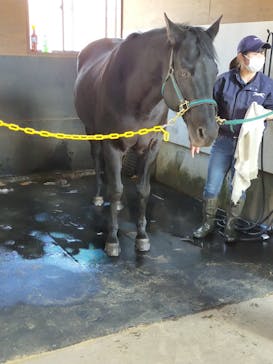 ノーザンホースパークに投稿された画像（2021/4/5）