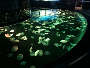 すみだ水族館に投稿された画像（2021/4/5）