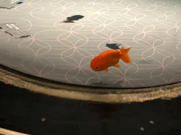 すみだ水族館に投稿された画像（2021/4/5）