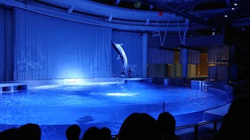 アクアワールド茨城県大洗水族館に投稿された画像（2021/4/5）