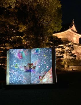 二条城×ネイキッド 二条城夏まつり2021に投稿された画像（2021/4/5）