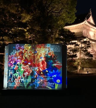 二条城×ネイキッド 二条城夏まつり2021に投稿された画像（2021/4/5）