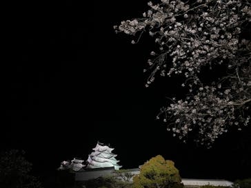 姫路城（イベント）に投稿された画像（2021/4/5）