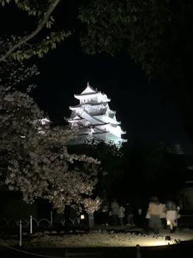 姫路城（イベント）に投稿された画像（2021/4/5）