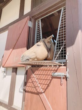 ノーザンホースパークに投稿された画像（2021/4/5）