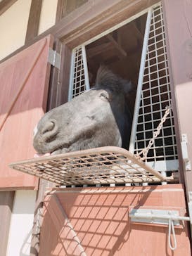 ノーザンホースパークに投稿された画像（2021/4/5）