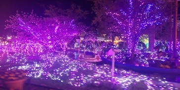 ひらかたパークに投稿された画像（2021/4/5）