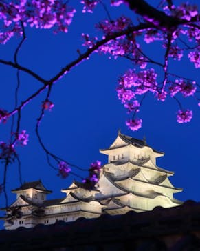 姫路城（イベント）に投稿された画像（2021/4/5）