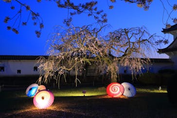 姫路城（イベント）に投稿された画像（2021/4/5）