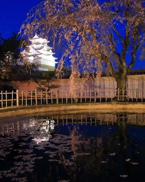 姫路城（イベント）に投稿された画像（2021/4/5）