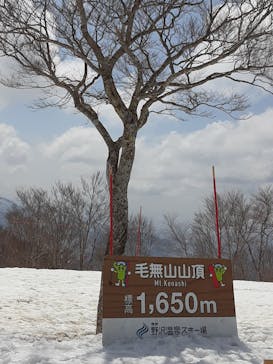 野沢温泉スキー場に投稿された画像（2021/4/6）