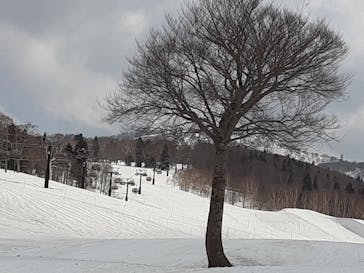 野沢温泉スキー場に投稿された画像（2021/4/6）