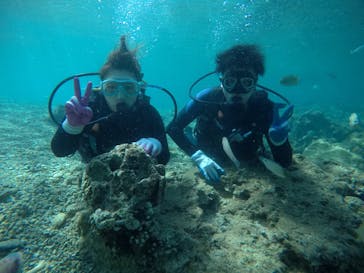 武藤潜水に投稿された画像（2021/4/6）