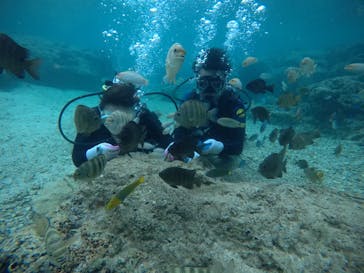 武藤潜水に投稿された画像（2021/4/6）