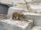 天王寺動物園に投稿された画像（2021/4/6）