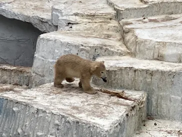 天王寺動物園に投稿された画像（2021/4/6）