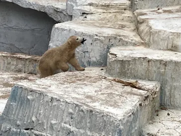 天王寺動物園に投稿された画像（2021/4/6）