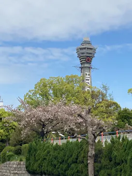 天王寺動物園に投稿された画像（2021/4/6）