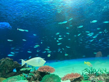 サンシャイン水族館に投稿された画像（2021/4/6）