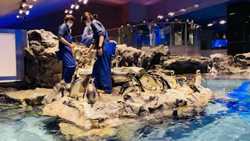 すみだ水族館に投稿された画像（2021/4/6）