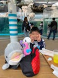 京都水族館に投稿された画像（2021/4/6）
