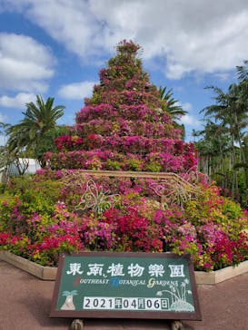 美らヤシパークオキナワ・東南植物楽園に投稿された画像（2021/4/6）