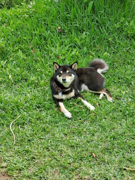 美らヤシパークオキナワ・東南植物楽園に投稿された画像（2021/4/6）