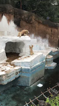 天王寺動物園に投稿された画像（2021/4/6）