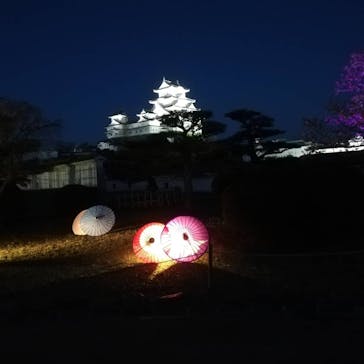 姫路城（イベント）に投稿された画像（2021/4/6）