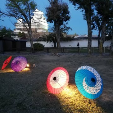 姫路城（イベント）に投稿された画像（2021/4/6）