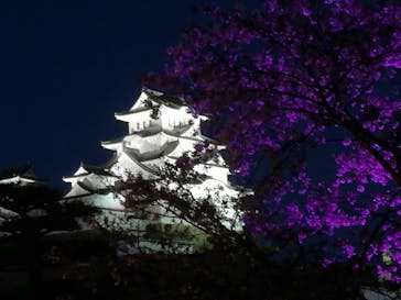 姫路城（イベント）に投稿された画像（2021/4/6）