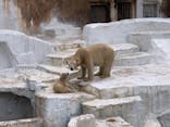 天王寺動物園に投稿された画像（2021/4/6）