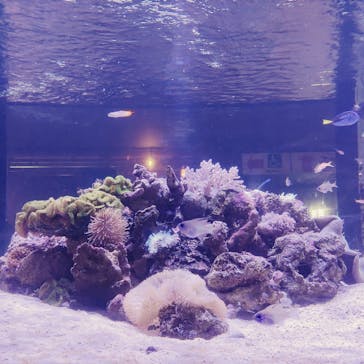 ゼロ距離水族館 伊勢シーパラダイスに投稿された画像（2021/4/6）