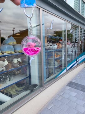 しながわ水族館に投稿された画像（2021/4/6）