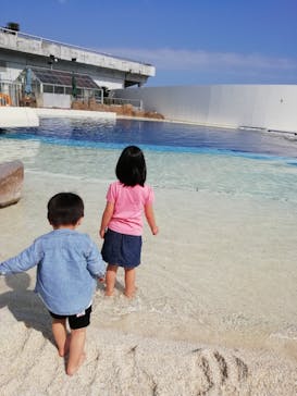 大分マリーンパレス水族館 「うみたまご」に投稿された画像（2021/4/6）
