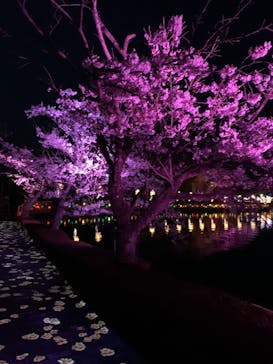 那須高原りんどう湖ファミリー牧場に投稿された画像（2021/4/6）