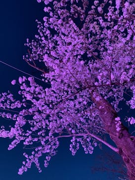 那須高原りんどう湖ファミリー牧場に投稿された画像（2021/4/6）