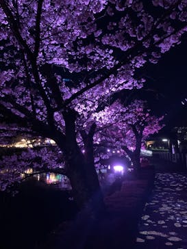 那須高原りんどう湖ファミリー牧場に投稿された画像（2021/4/6）