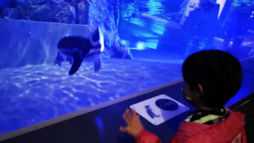 すみだ水族館に投稿された画像（2021/4/6）