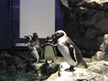 すみだ水族館に投稿された画像（2021/4/6）